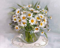 Без бренда «2KMA-0021» в Калининграде