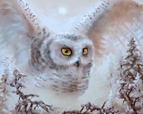 Без бренда «2KMB-3848» в Калининграде