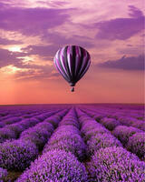 Без бренда «Фиолетовый воздушный шар над фиолетовым лавандовым полем» в Калининграде