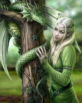 Без бренда «2KMB-4269» в Калининграде