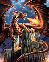 Без бренда «2KMB-4491» в Калининграде