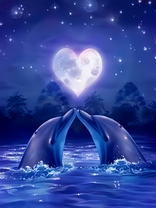 Без бренда «2KSB-0767» в Калининграде