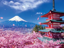 Без бренда «2KSB-7277» в Калининграде