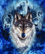 Без бренда «2KXSB-0687» в Калининграде