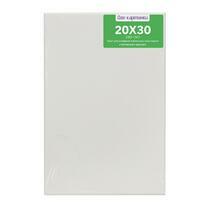 Без бренда «Коробка 80 шт.: Холст Две картинки на подрамнике 20X30» в Калининграде