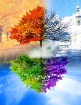 Без бренда «BOX10-2KLB-6100» в Калининграде