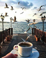 Без бренда «BOX20-2KMB-1952» в Калининграде