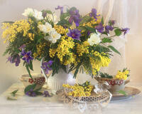 Без бренда «Натюрморт из мимоз и колокольчиков (20шт)» в Калининграде