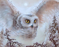 Без бренда «Полярная сова над лесом (20шт)» в Калининграде