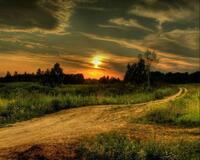 Без бренда «Проселочная дорога на закате» в Калининграде