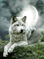 Без бренда «Коробка 25 шт. картин по номерам BOX25-GX21058» в Калининграде