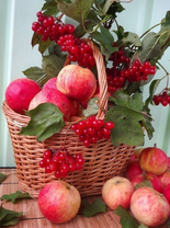 Без бренда «Коробка 25 шт. картин по номерам BOX25-GX5174» в Калининграде в интернет-магазине  Без бренда «Коробка 25 шт. картин по номерам BOX25-GX5174» в Калининграде