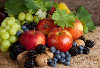 Без бренда «Фрукты, ягоды и орехи» в Калининграде