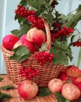 Без бренда «Плетёная корзина с калиной и яблоками» в Калининграде