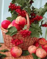 Без бренда «Плетёная корзина с калиной и яблоками» в Калининграде в интернет-магазине  Без бренда «Плетёная корзина с калиной и яблоками» в Калининграде