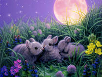 Маленькие кролики на лугу