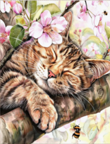 Без бренда «Волосатый котик спит на ветви яблони» в Калининграде